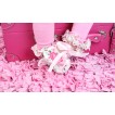 Valentine's Day Light Pink Rose Fusion & Light Pink Ribbon Crib Shoes S645